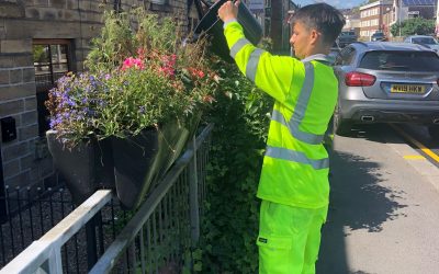 Window Spring Clean for May Day!