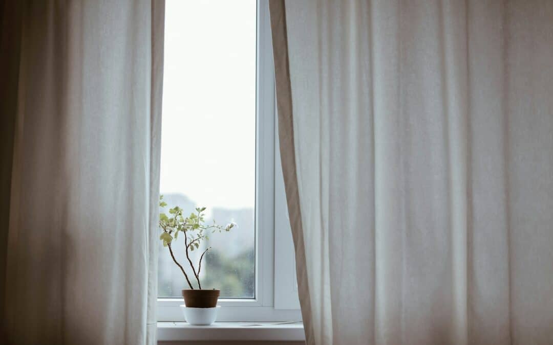 Sparkling windows to see in the New year