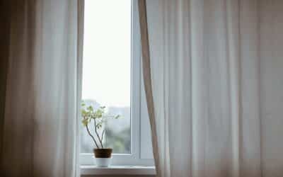 Sparkling windows to see in the New year