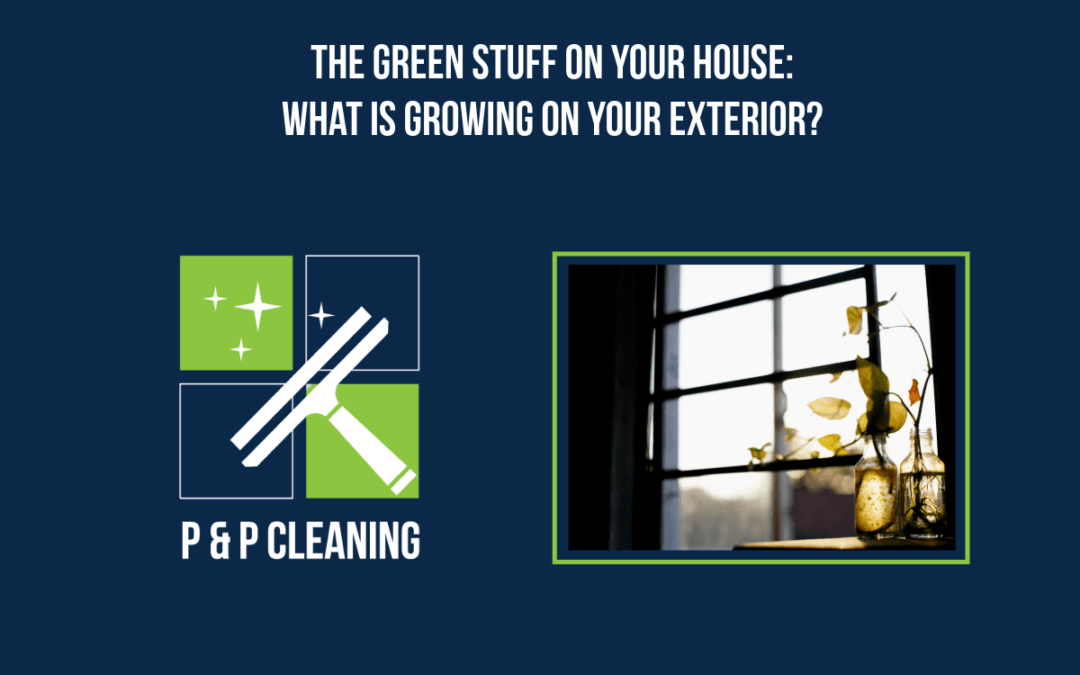 The Green Stuff on Your House: What Is Growing on Your Exterior?